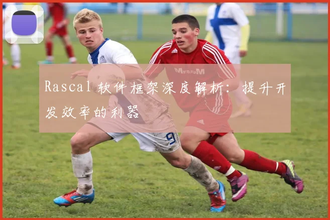 Rascal 软件框架深度解析：提升开发效率的利器