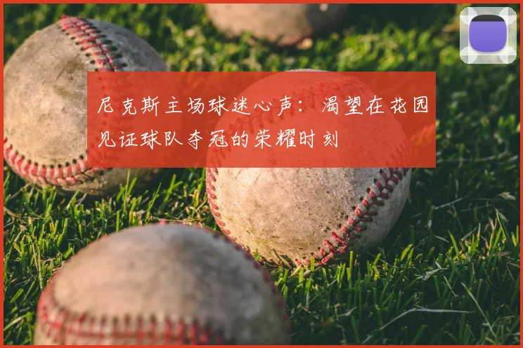 尼克斯主场球迷心声：渴望在花园见证球队夺冠的荣耀时刻