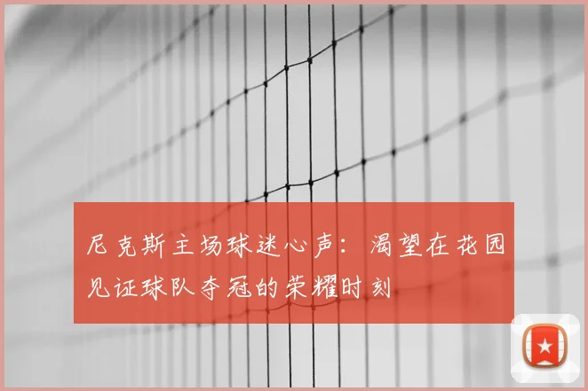 尼克斯主场球迷心声:渴望在花园见证球队夺冠的荣耀时刻