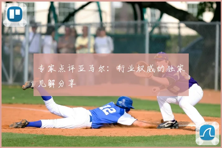 专家点评亚马尔:行业权威的独家见解分享